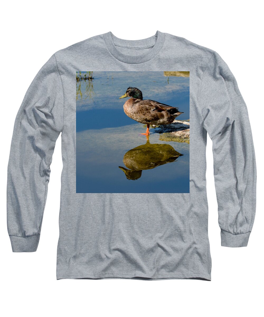 Duck Long Sleeve T-Shirt featuring the photograph Mallard reflection by John Johnson