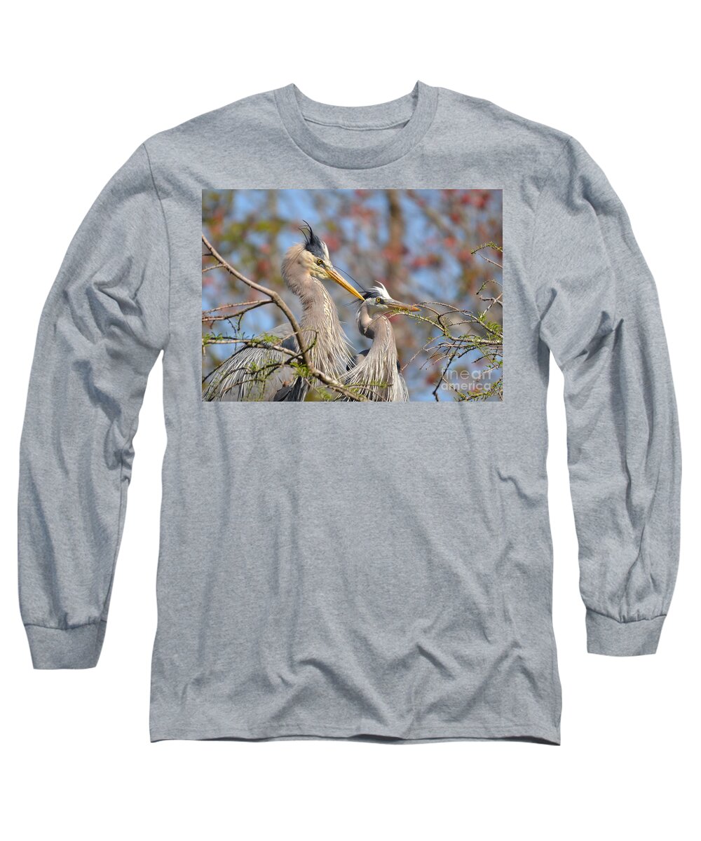 Heron Long Sleeve T-Shirt featuring the photograph Mr. And Mrs. by Kathy Baccari