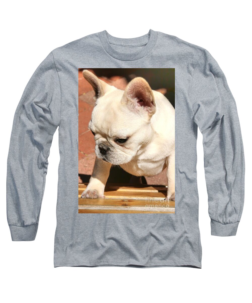 Ms Long Sleeve T-Shirt featuring the photograph French Bulldog Ms Quiggly by Tap On Photo