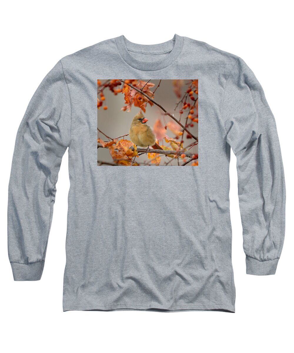 Nature Long Sleeve T-Shirt featuring the photograph Fall Colors by Nava Thompson