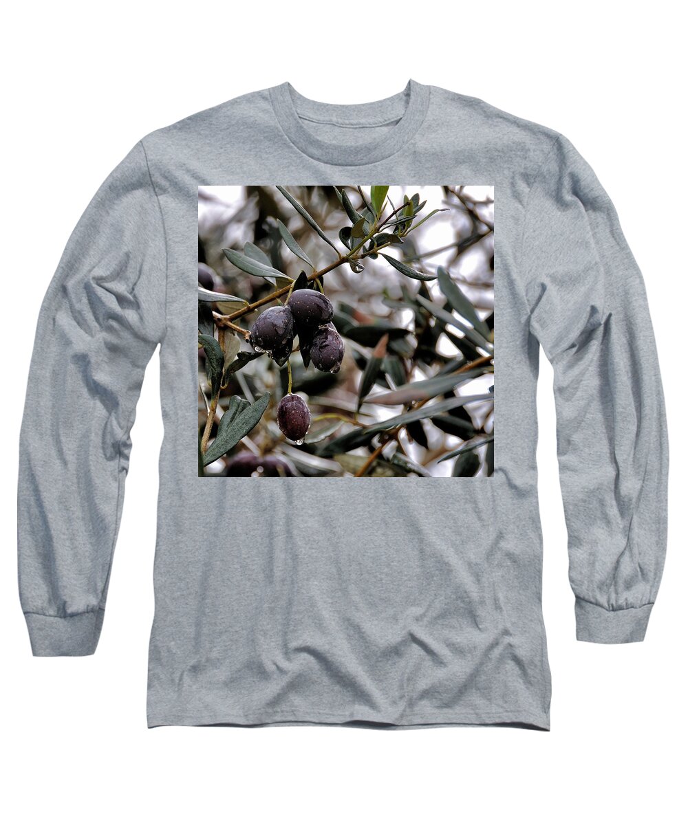 Israel Long Sleeve T-Shirt featuring the photograph Nazareth Olives Israel by Mark Fuller