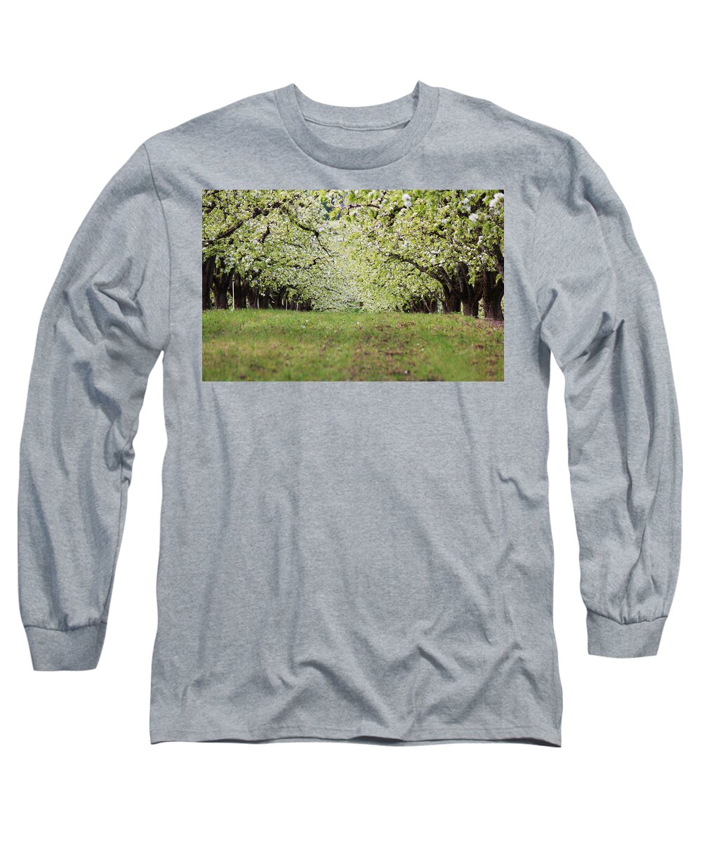 Apple Long Sleeve T-Shirt featuring the photograph Orchard by Patricia Babbitt