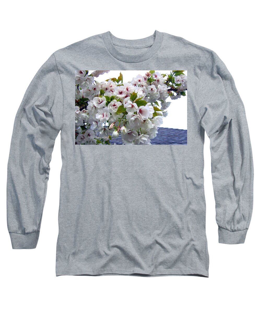 Oregon Cherry Blossoms Long Sleeve T-Shirt featuring the photograph Oregon Cherry Blossoms by Will Borden