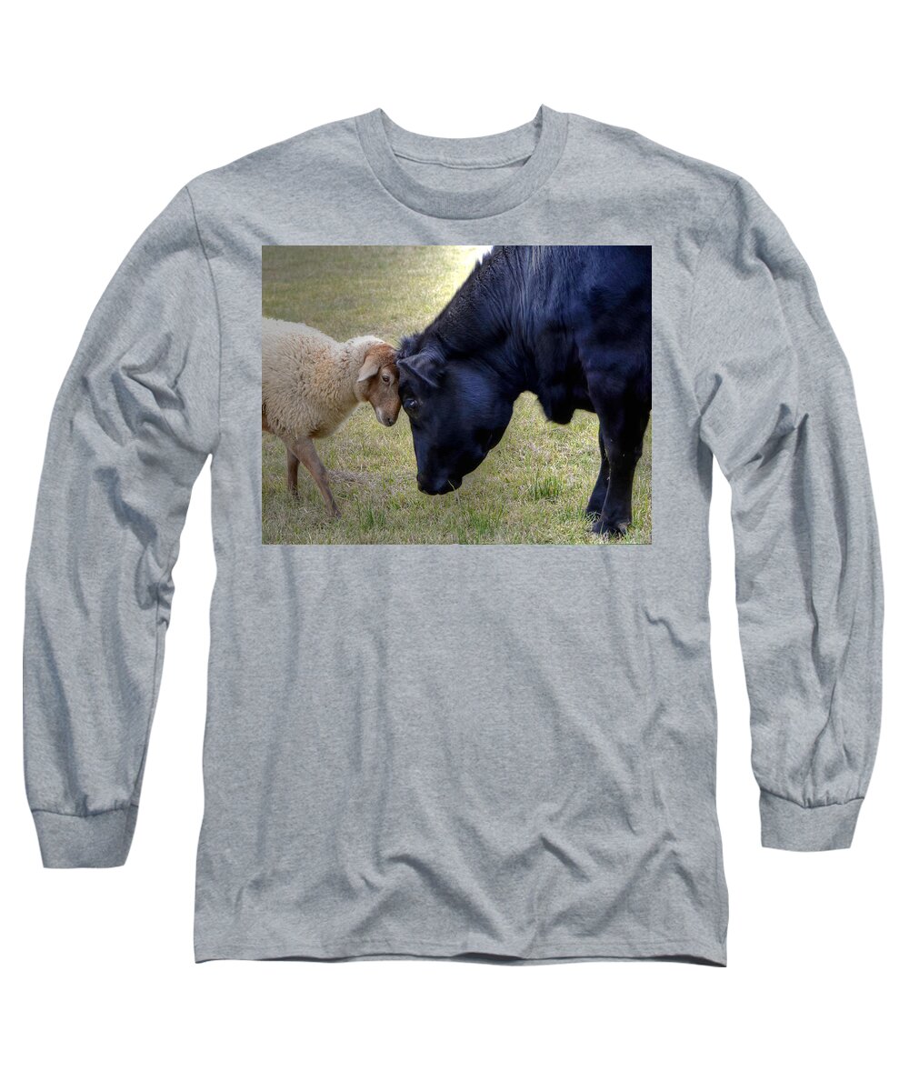 Sheep Long Sleeve T-Shirt featuring the photograph Pasture Pals by Charlotte Schafer