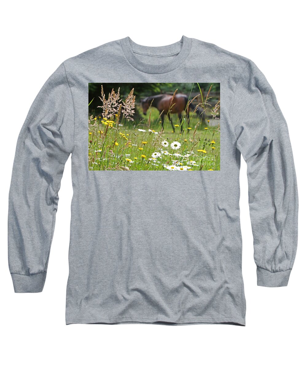 Nature Long Sleeve T-Shirt featuring the photograph Peaceful Pasture by Michelle Twohig