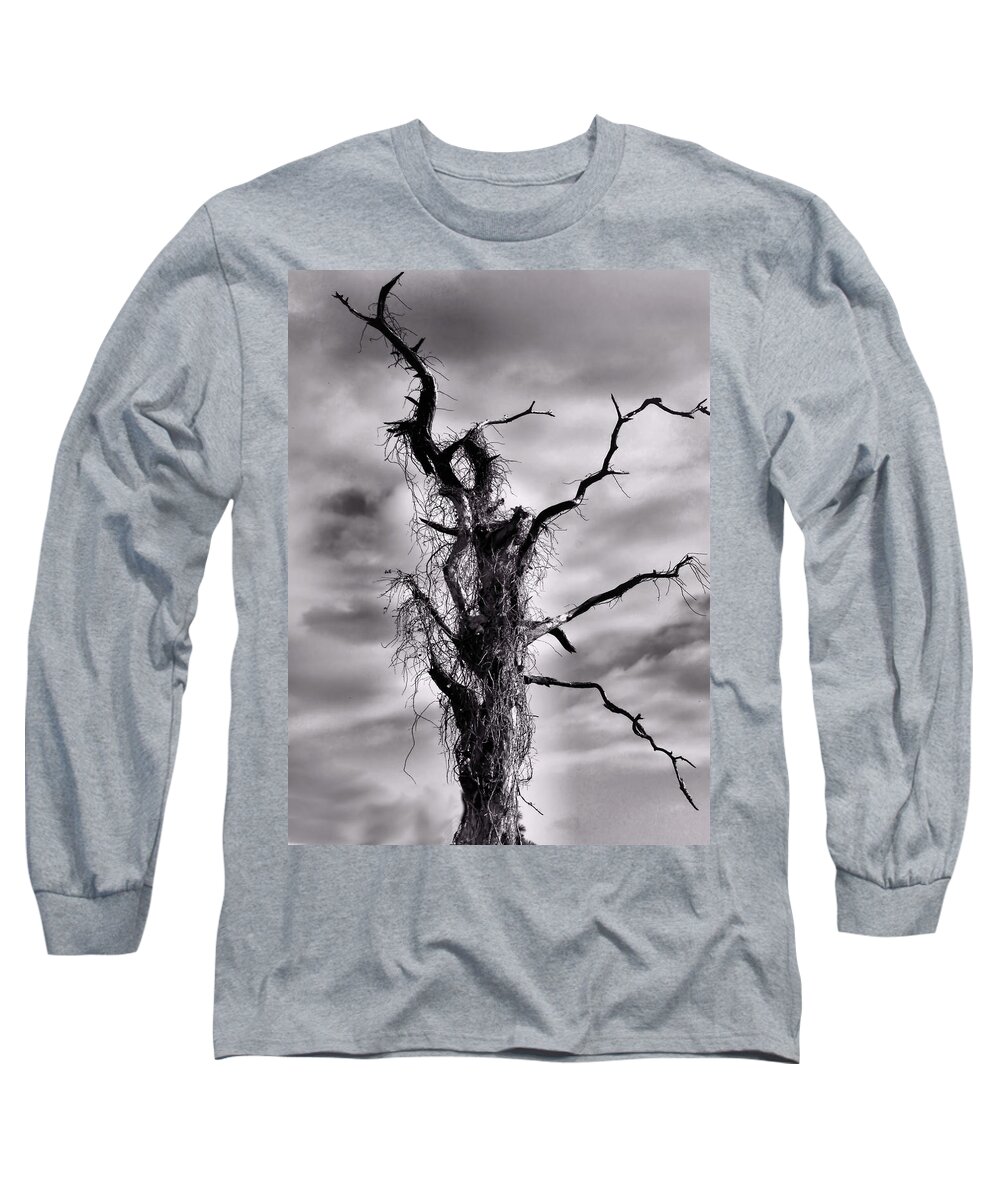 Tree Long Sleeve T-Shirt featuring the photograph Petrified Tree by Rosalie Scanlon