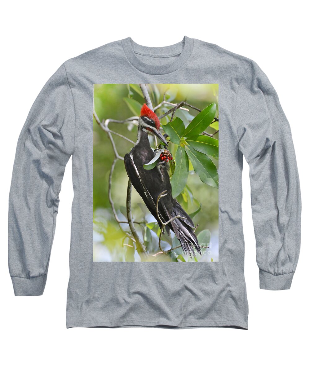 Woodpecker Long Sleeve T-Shirt featuring the photograph Pileated Woodpecker by Kathy Baccari