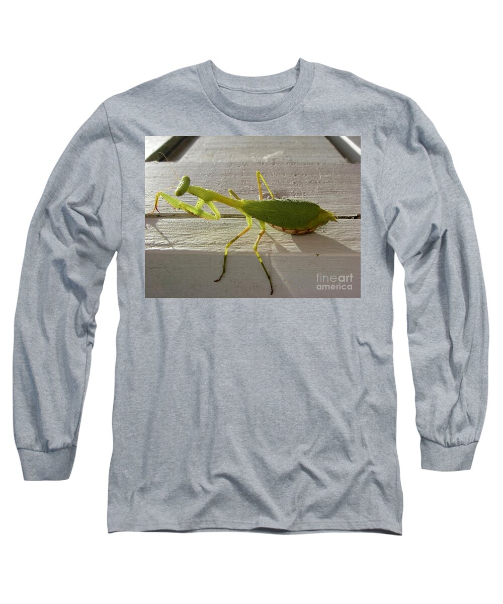 Insect Long Sleeve T-Shirt featuring the photograph Praying Mantis by Jola Martysz