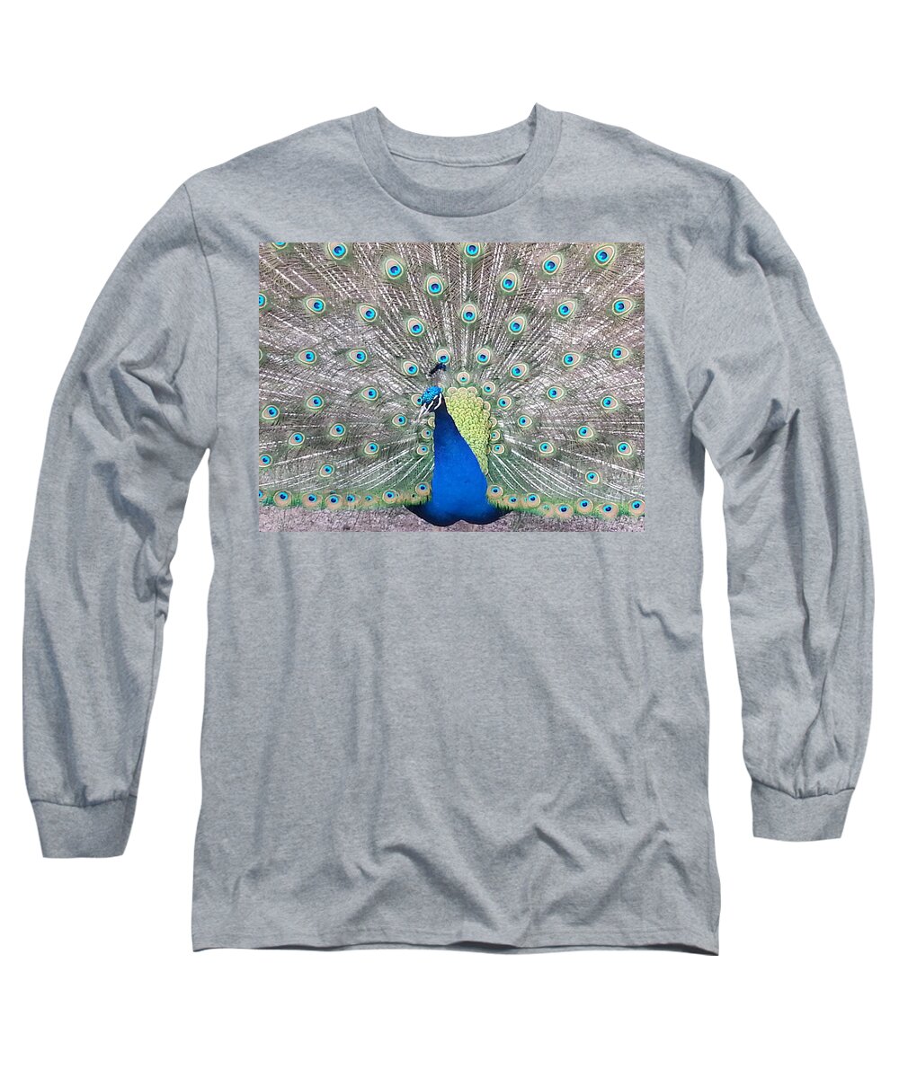 Peacock Long Sleeve T-Shirt featuring the photograph Pride by Caryl J Bohn