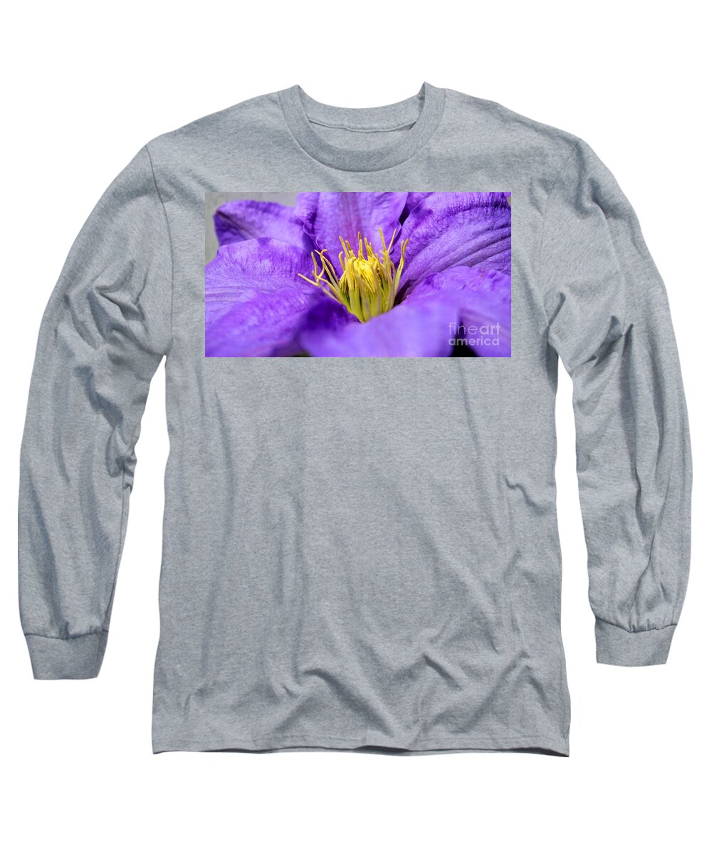 Clematis Long Sleeve T-Shirt featuring the photograph Purple Elegance by Judy Palkimas