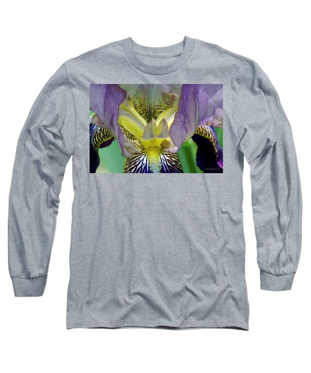 2d Long Sleeve T-Shirt featuring the photograph Purple Iris by Brian Wallace