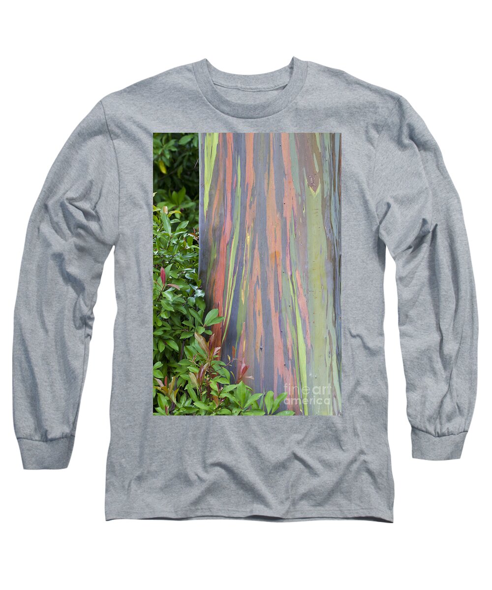 Hawaii Long Sleeve T-Shirt featuring the photograph Rainbow Eucalyptus by Bryan Keil