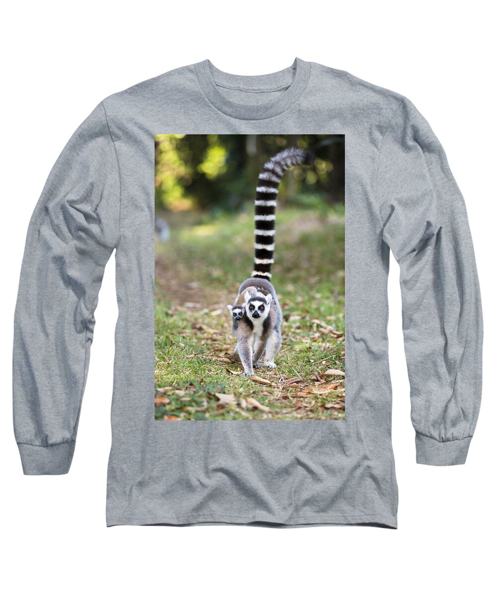 Feb0514 Long Sleeve T-Shirt featuring the photograph Ring-tailed Lemur Mother Carrying Young by Konrad Wothe
