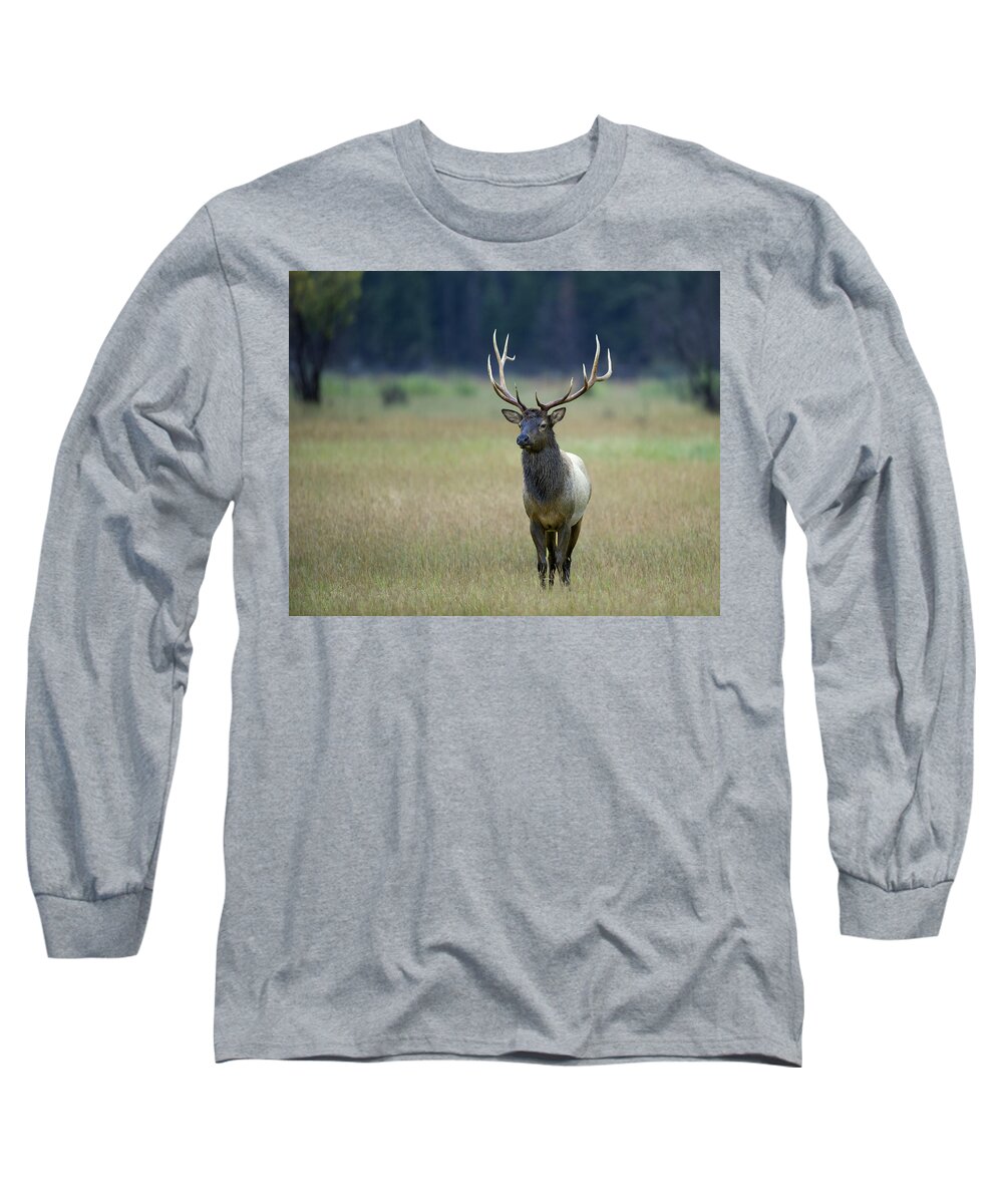 Bull Long Sleeve T-Shirt featuring the photograph Rocky Mountain Bull Elk 6x6 by Gary Langley