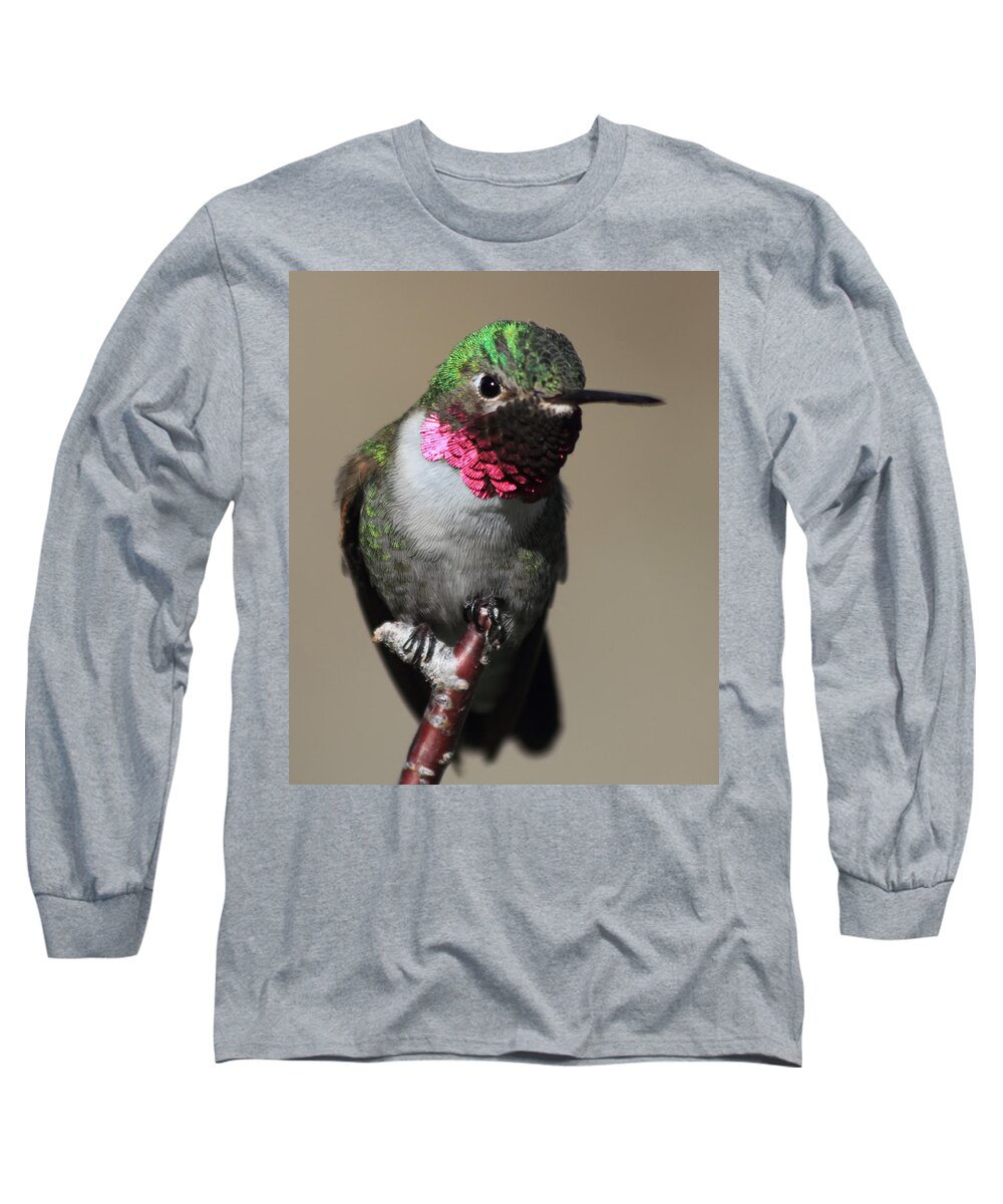 Ruby-throated Hummingbird Long Sleeve T-Shirt featuring the photograph Ruby-Throated Hummer by Shane Bechler