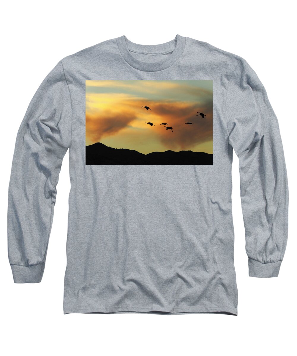 Birds Long Sleeve T-Shirt featuring the photograph Sandhill Cranes return in late afternoon at Bosque del Apache wi by Alan Vance Ley