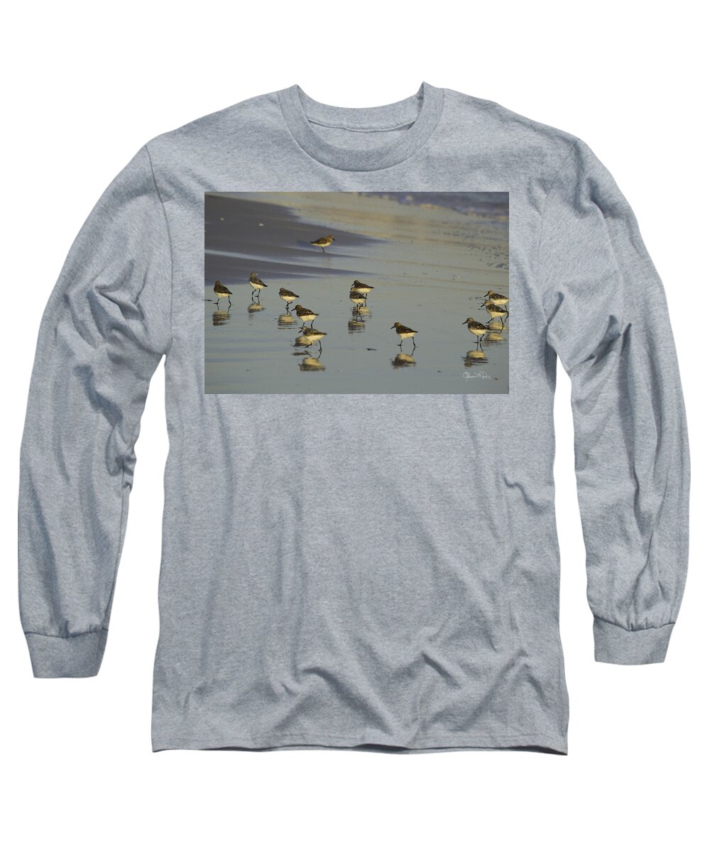 susan Molnar Long Sleeve T-Shirt featuring the photograph Sandpiper Sunset Reflection by Susan Molnar