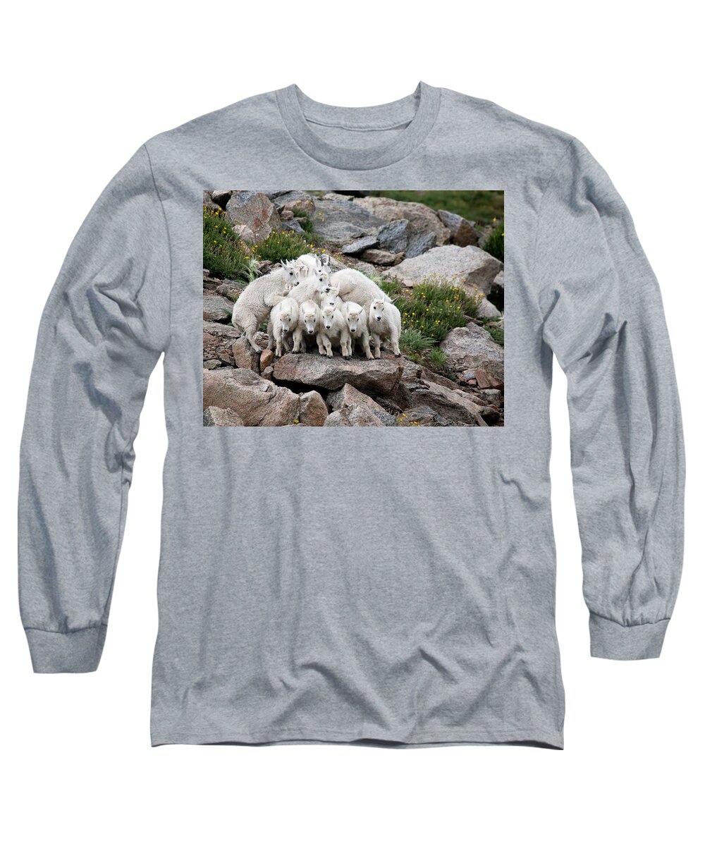 Mountain Goats; Posing; Group Photo; Baby Goat; Nature; Colorado; Crowd; Baby Goat; Mountain Goat Baby; Happy; Joy; Nature; Brothers Long Sleeve T-Shirt featuring the photograph Say Cheese by Jim Garrison