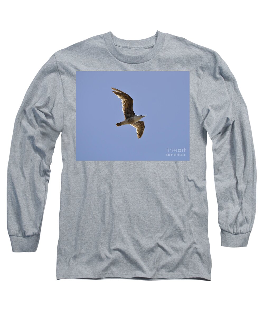 Seagull Long Sleeve T-Shirt featuring the photograph Seagull n Light by Bridgette Gomes