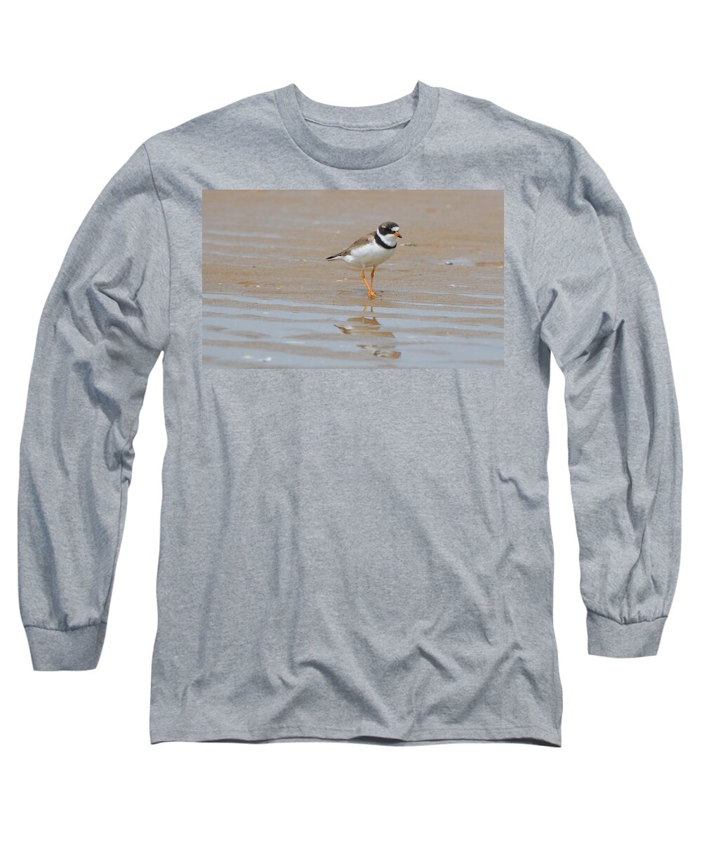 Birds Long Sleeve T-Shirt featuring the photograph Semipalmated Plover by James Petersen