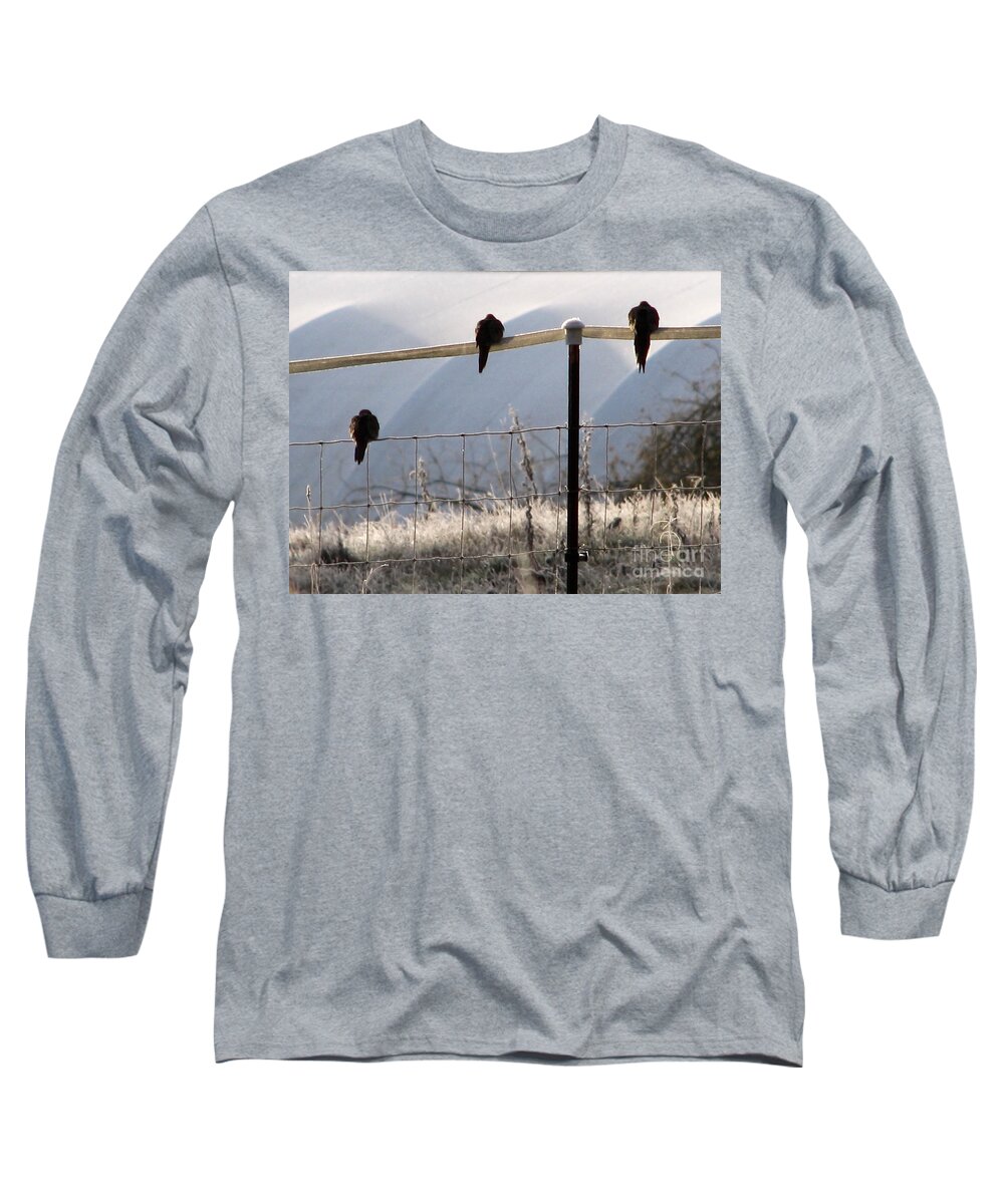 Bird Long Sleeve T-Shirt featuring the photograph Sharing The Morning News by Rory Siegel