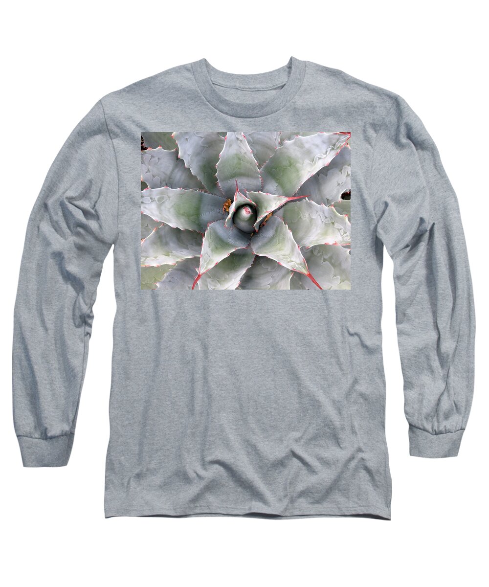 Cactus Long Sleeve T-Shirt featuring the photograph Sharply Circular by Laurel Powell