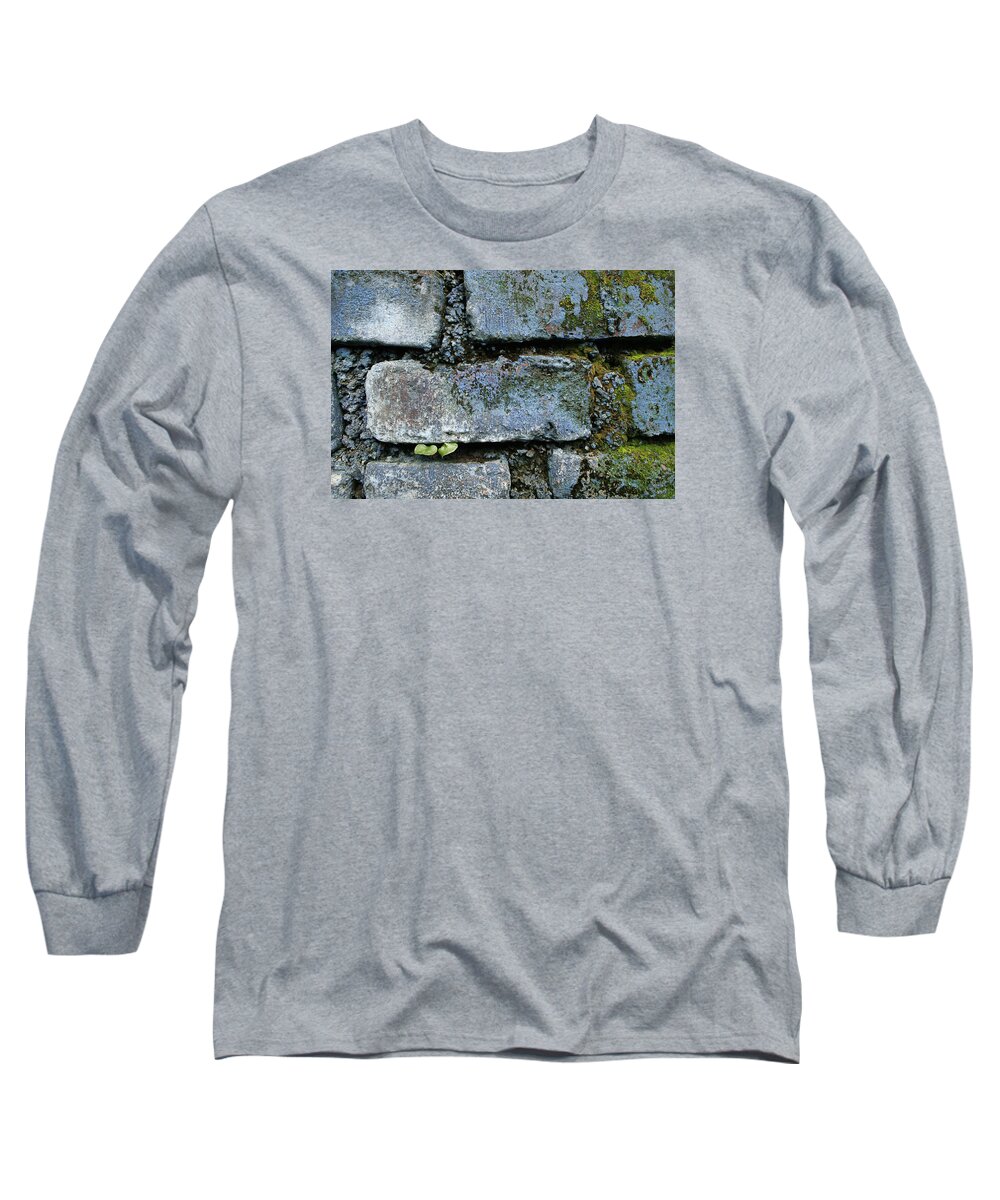 Abstract Long Sleeve T-Shirt featuring the photograph SKC 0301 Tiny twin leaves by Sunil Kapadia