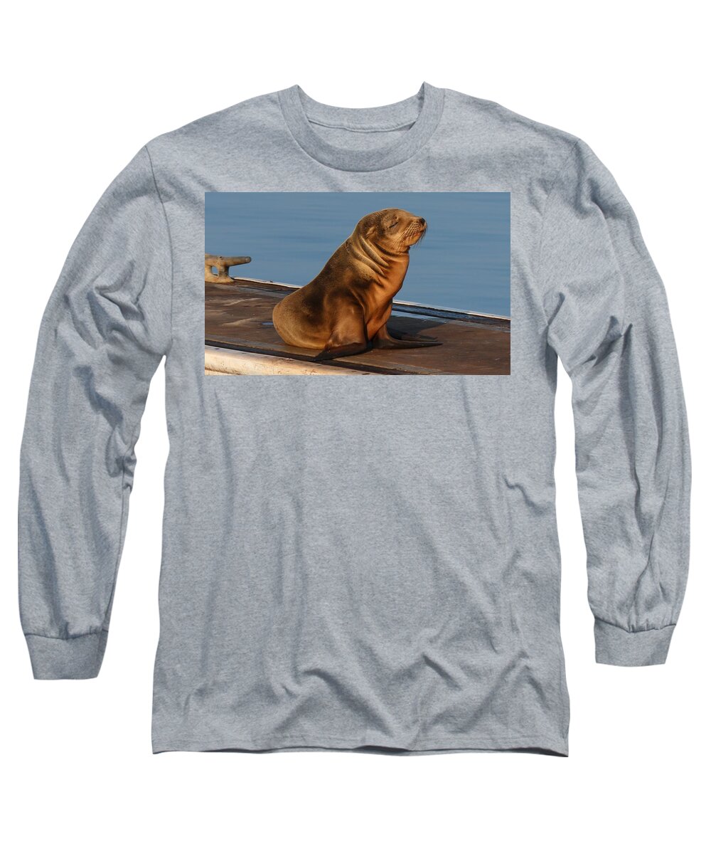 Wild Long Sleeve T-Shirt featuring the photograph Sleeping Wild Sea Lion Pup by Christy Pooschke