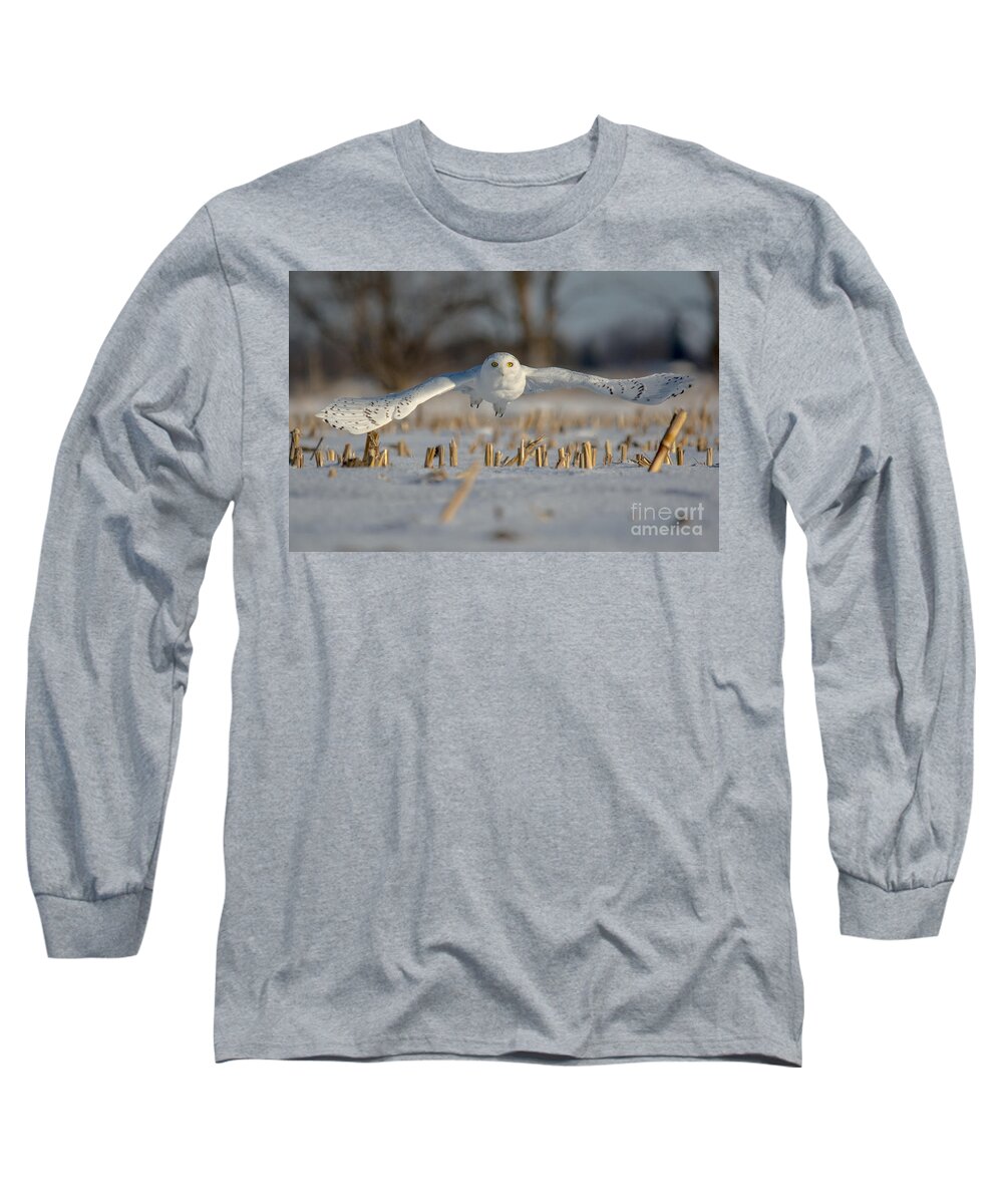 Field Long Sleeve T-Shirt featuring the photograph Snowy Owl Wingspan by Cheryl Baxter