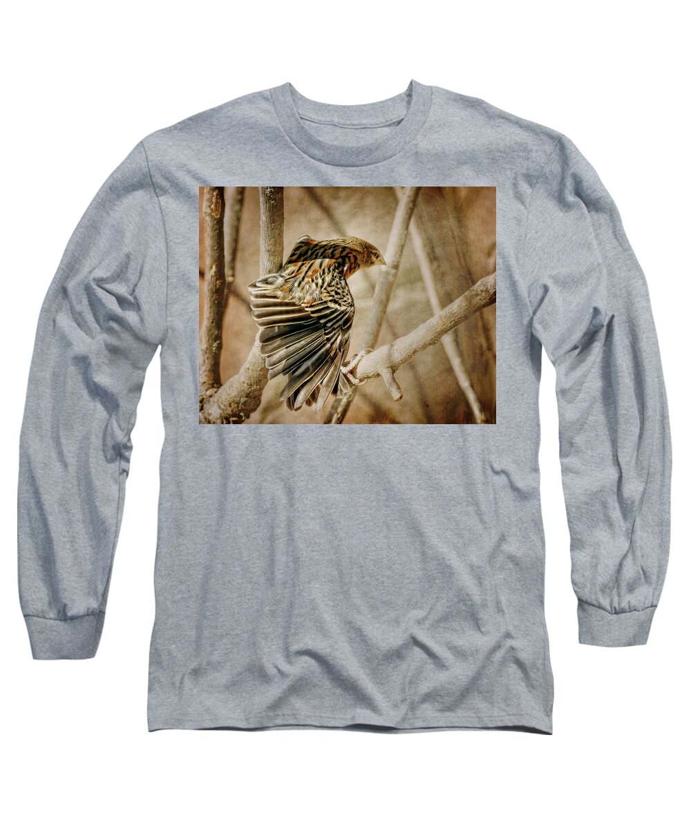 Bird Long Sleeve T-Shirt featuring the photograph Spreading My Wings by Nikolyn McDonald