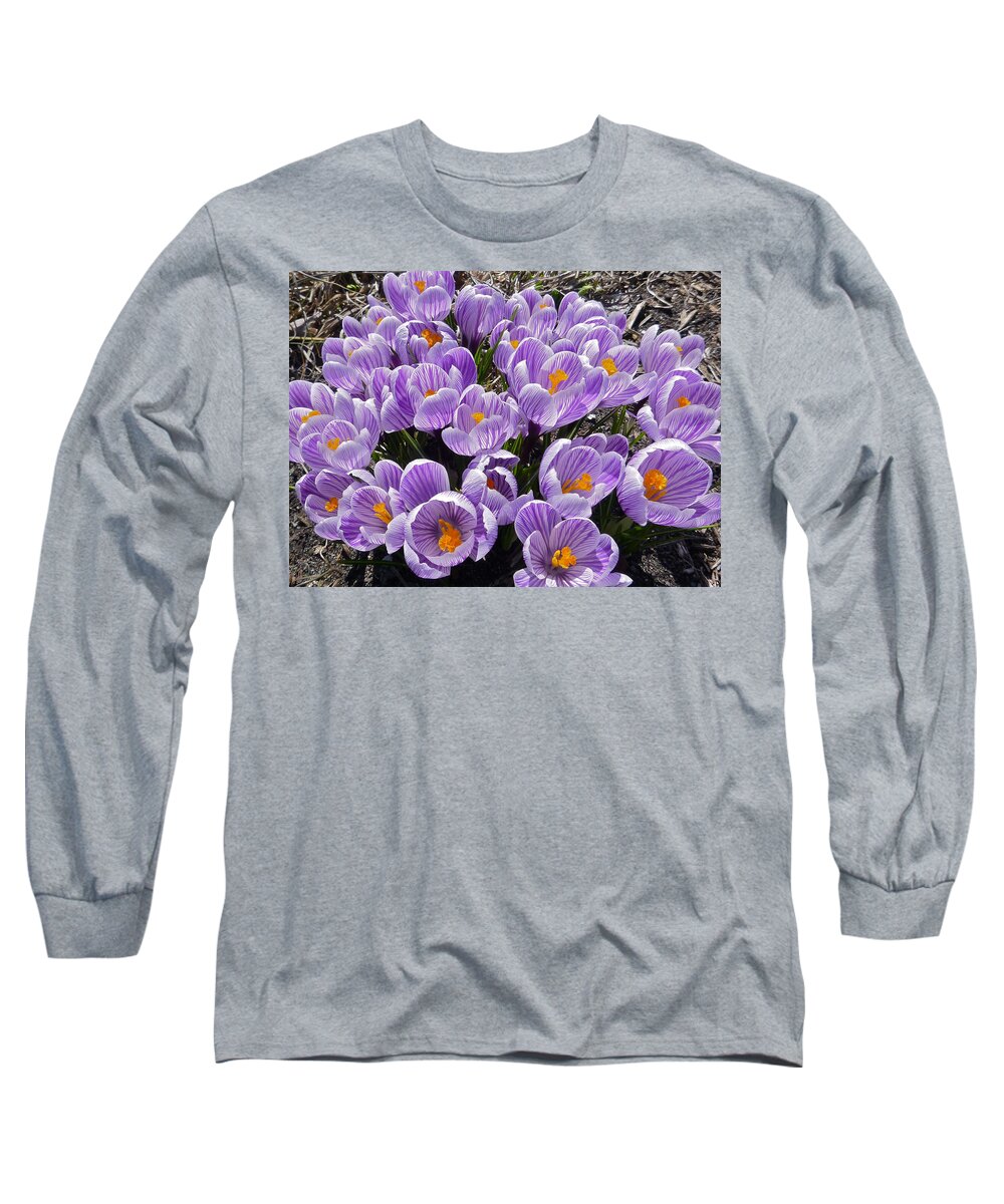 Landscape Long Sleeve T-Shirt featuring the photograph Spring faces by Ellen Paull
