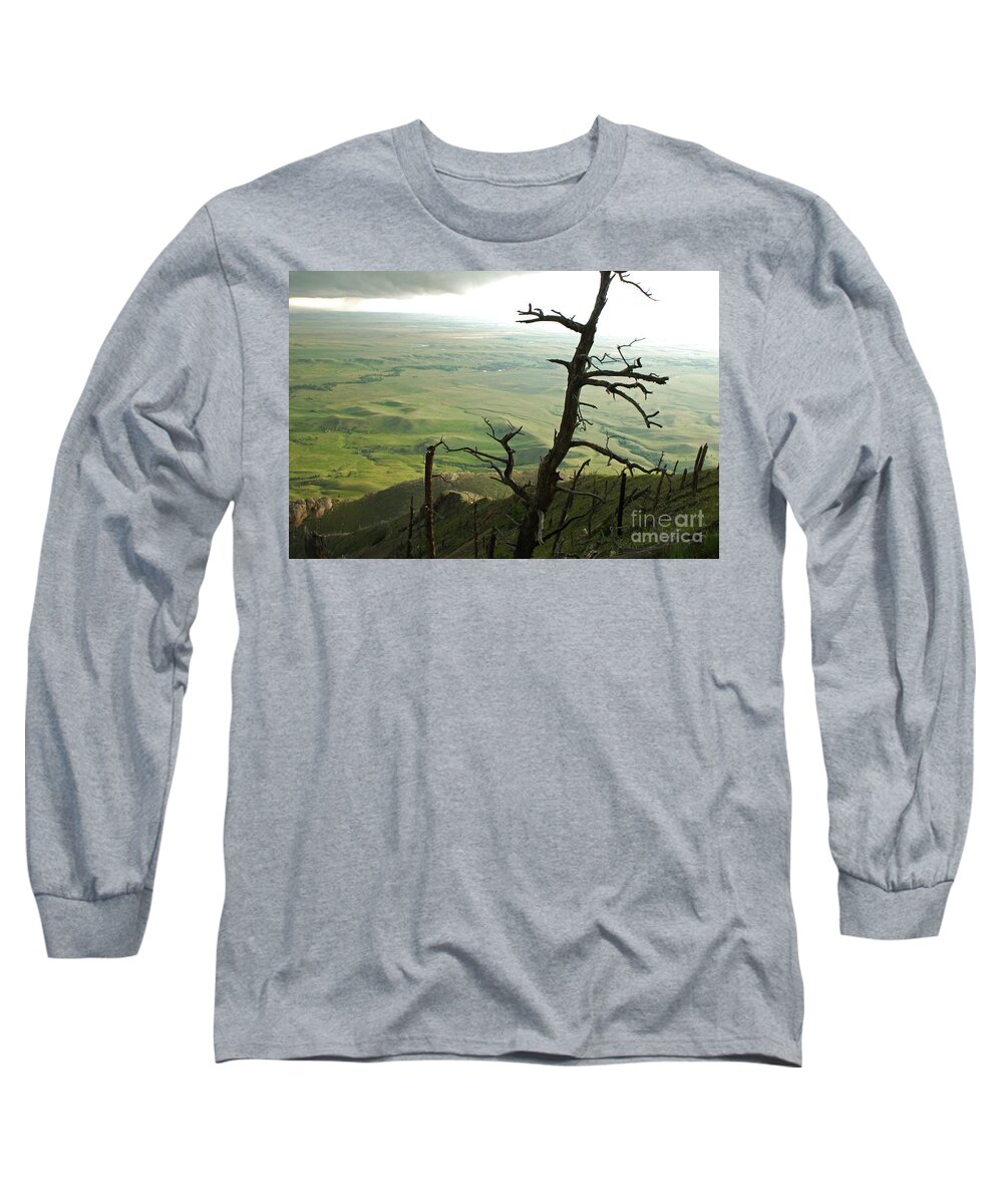 Bear Butte Long Sleeve T-Shirt featuring the photograph Stormy Tree by Mary Carol Story
