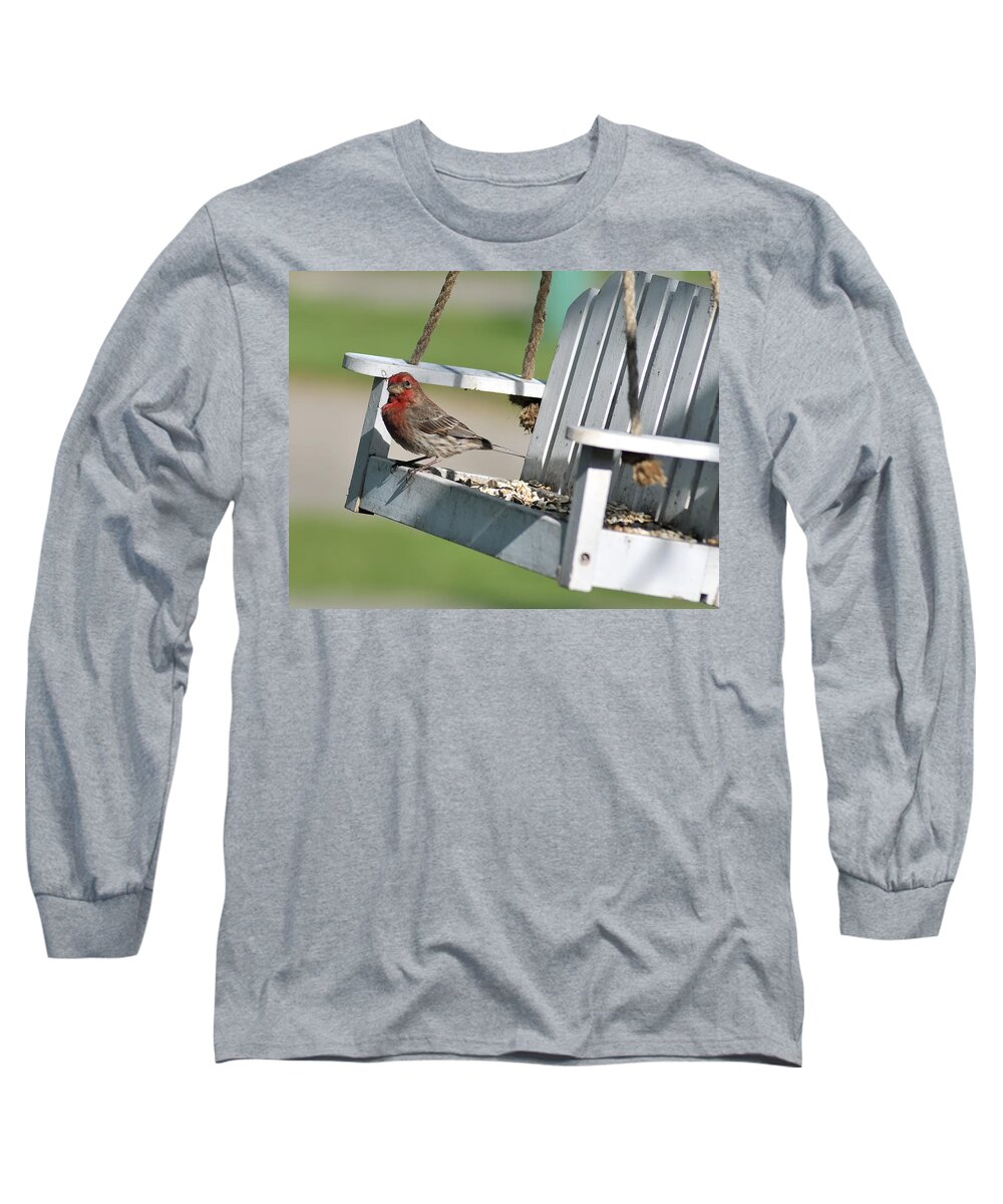 Housefinch Long Sleeve T-Shirt featuring the photograph Swingin' by Gene Tatroe