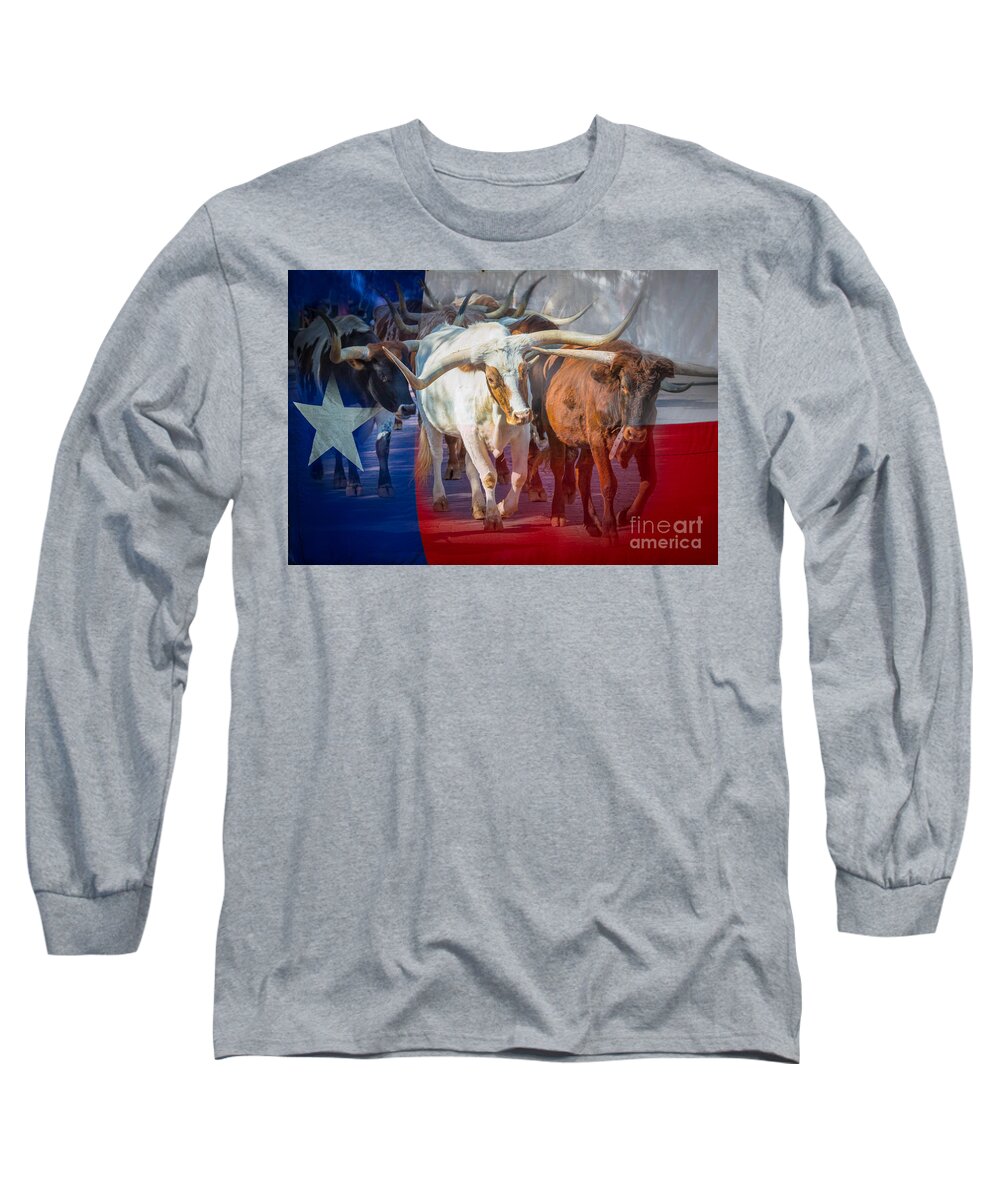 America Long Sleeve T-Shirt featuring the photograph Texas Longhorns by Inge Johnsson