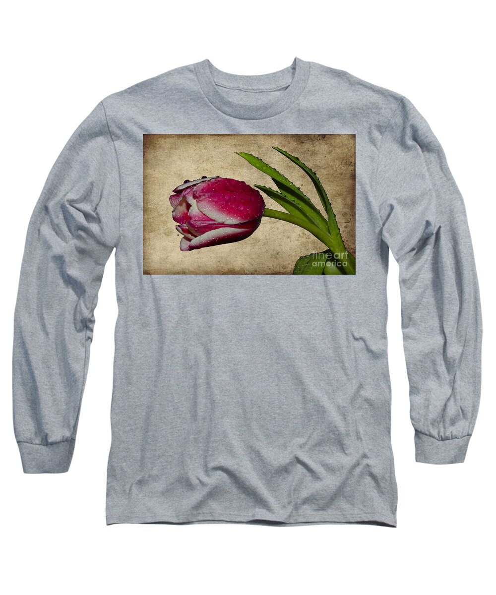 Tulip Long Sleeve T-Shirt featuring the photograph Textured tulip in the rain by Steev Stamford