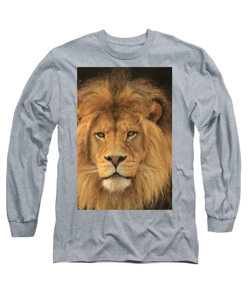 Lion Long Sleeve T-Shirt featuring the photograph The Glory of a King by Laddie Halupa