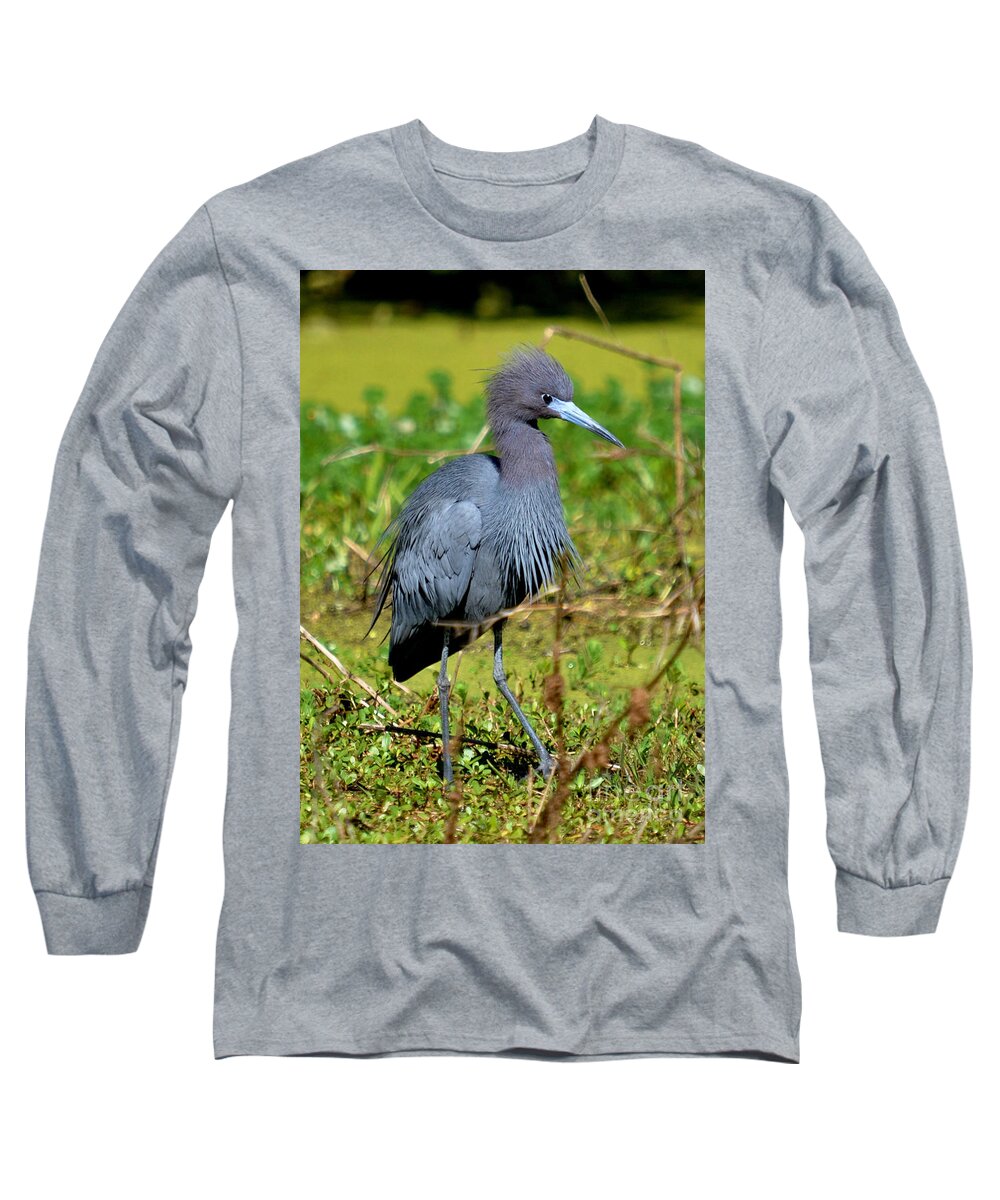 Heron Long Sleeve T-Shirt featuring the photograph The Little Blue Heron by Kathy Baccari