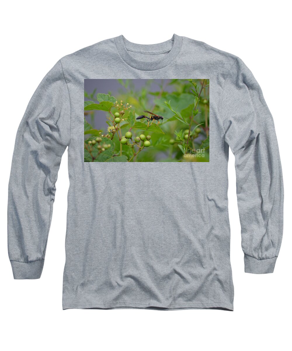 Insect Long Sleeve T-Shirt featuring the photograph Thread-waist Wasp by James Petersen