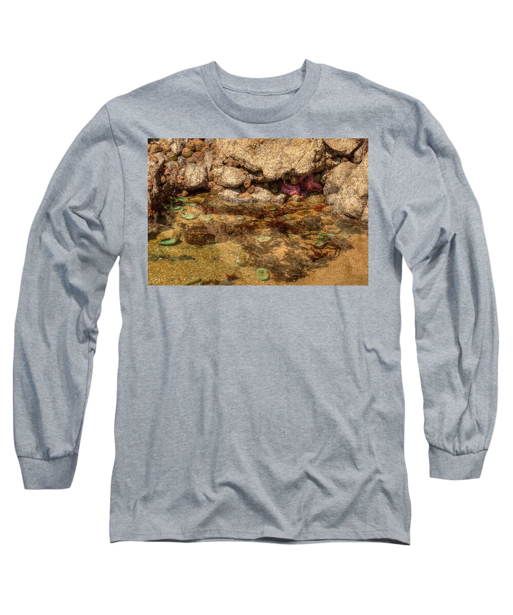 Anemones Long Sleeve T-Shirt featuring the photograph Tidal Treasures 0019 by Kristina Rinell