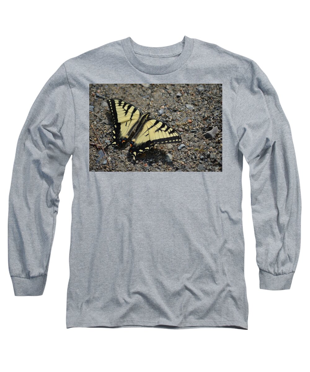 Maine Long Sleeve T-Shirt featuring the photograph Tiger Swallowtail by James Petersen