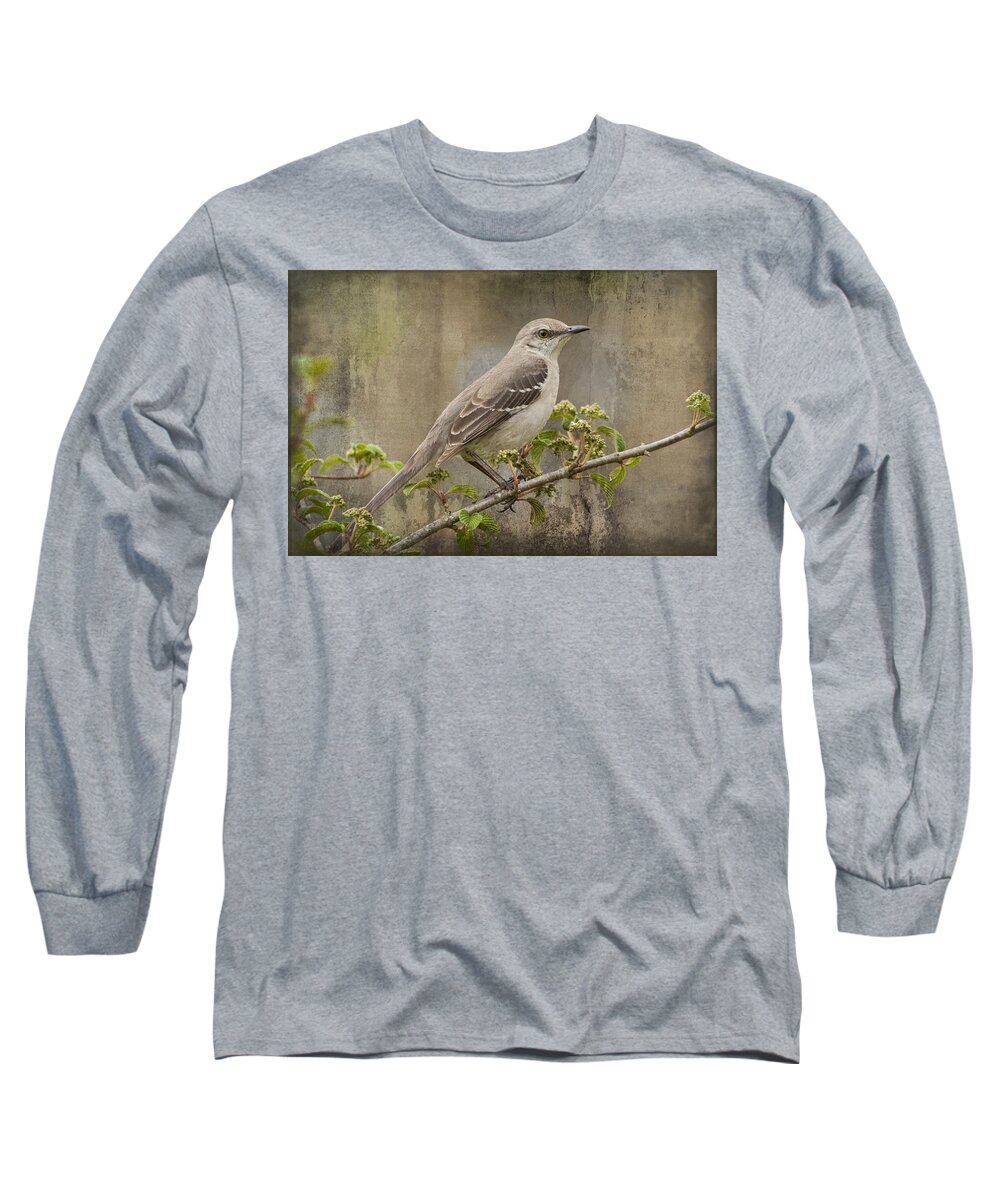 Mimus Polyglottos Long Sleeve T-Shirt featuring the photograph To Still A Mockingbird by Kathy Clark