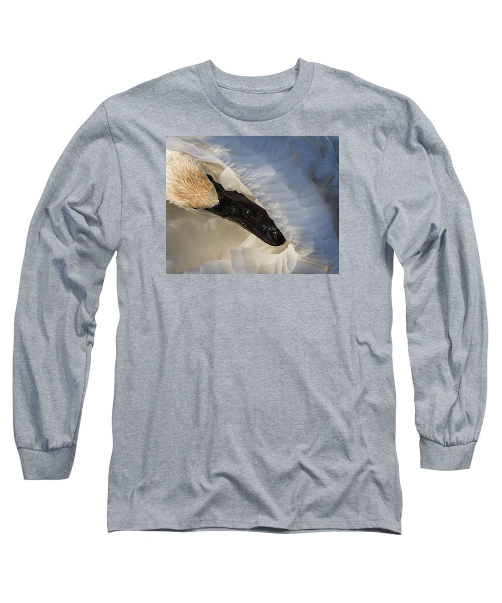 Swan Long Sleeve T-Shirt featuring the photograph Trumpeter Swan - Safe Place by Patti Deters