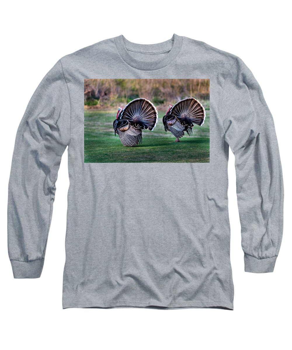 Bird Long Sleeve T-Shirt featuring the photograph Turkey by John Johnson