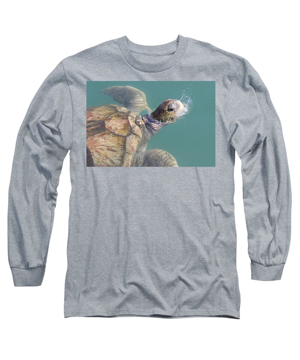 Sea Turtle Long Sleeve T-Shirt featuring the photograph Turtle by Adrienne Franklin