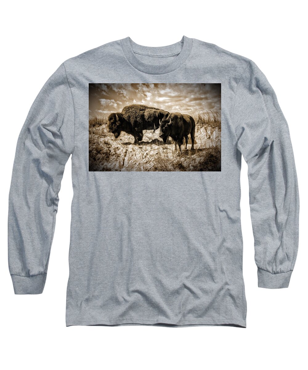 Photograph Long Sleeve T-Shirt featuring the photograph Two Buffalo by Richard Gehlbach