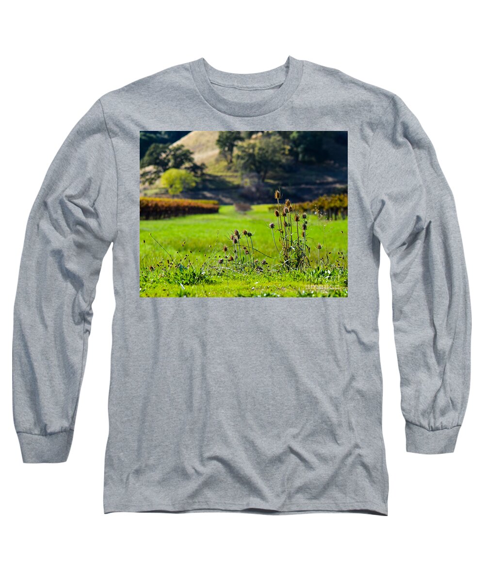 Cml Brown Long Sleeve T-Shirt featuring the photograph Vineyard Thistles by CML Brown