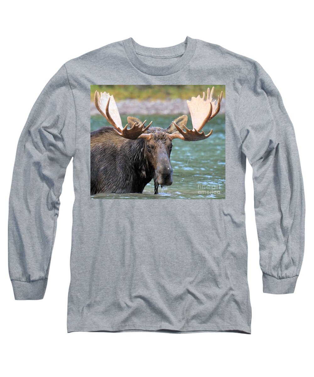 Bull Moose Long Sleeve T-Shirt featuring the photograph Wet And Hungry by Adam Jewell