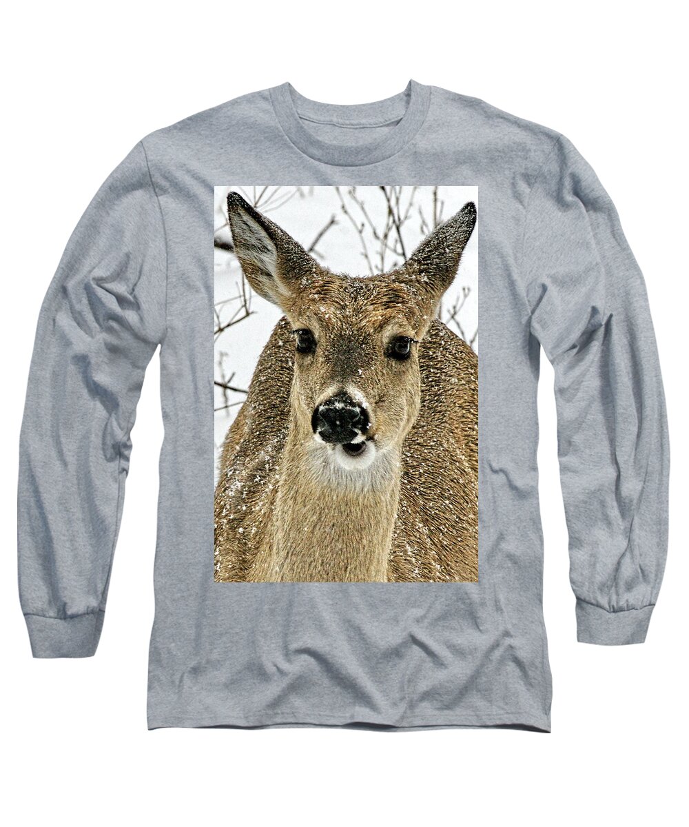 Deer Long Sleeve T-Shirt featuring the photograph Whats Up Doc? by Alan Hutchins