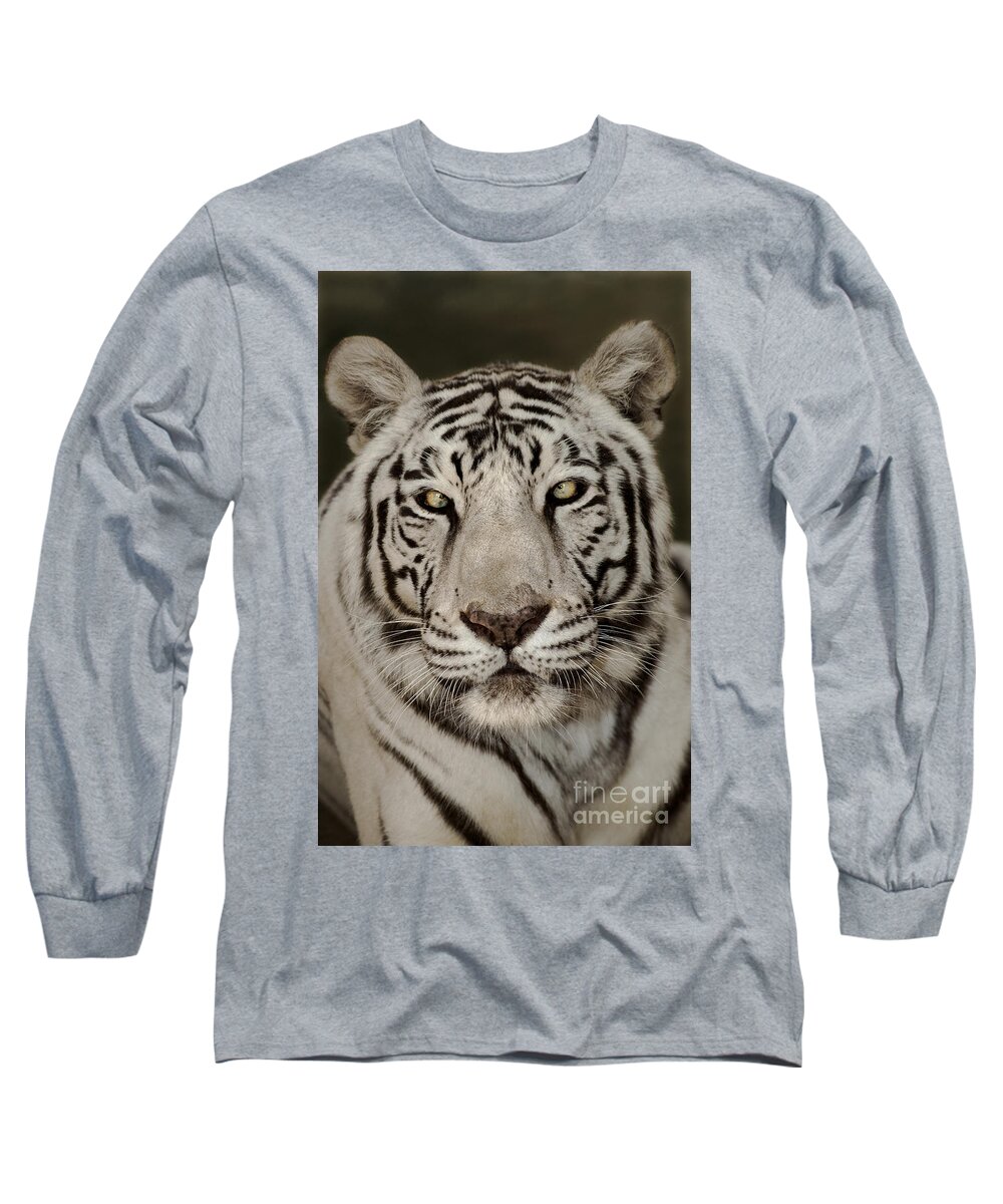 White Tiger Long Sleeve T-Shirt featuring the photograph White Tiger Portrait Wildlife Rescue by Dave Welling