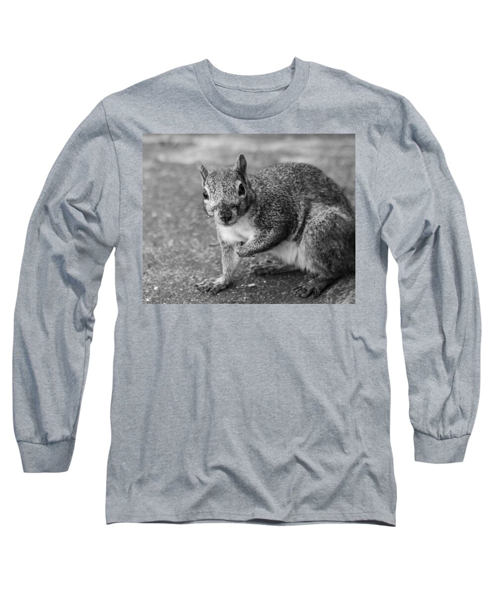 Squirrel Long Sleeve T-Shirt featuring the photograph Who Me? by Lauri Novak